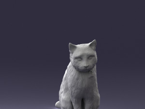 cat 0413 3d print ready 3D 打印模型