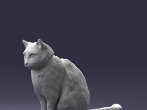 cat 0413 3d print ready 3D 打印模型