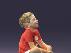 boy 1017-2 3d print ready 3D Print Model