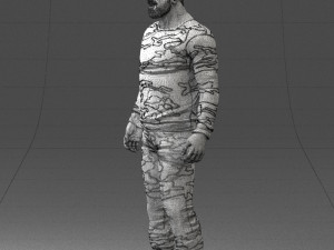 man in camouflage 1203 3d print ready Modello di stampa 3D