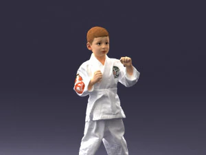 000195 Young Martial Artist Boy 1016 3dp 3D Print Model