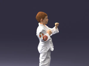 000195 Young Martial Artist Boy 1016 3dp 3D Print Model