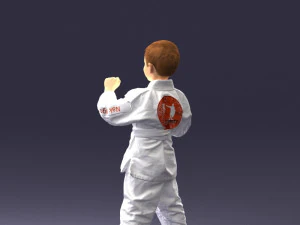 000195 Young Martial Artist Boy 1016 3dp 3D Print Model