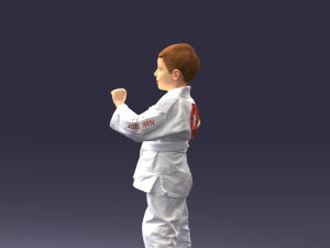 000195 Young Martial Artist Boy 1016 3dp 3D Print Model