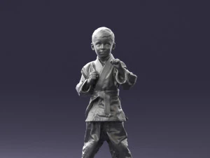 000195 Young Martial Artist Boy 1016 3dp 3D Print Model