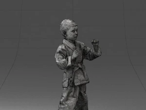 000195 Young Martial Artist Boy 1016 3dp 3D Print Model
