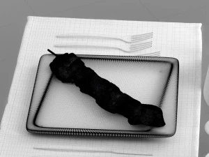 food 0020 3D Model