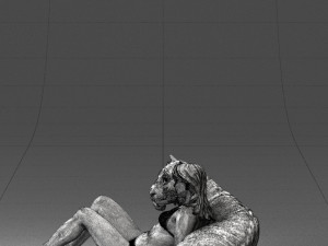 woman sitting on tiger 0063 3d print ready Modelo de Impressão 3D