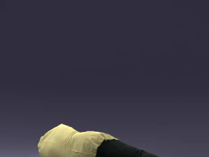000461 Unconscious Man Lying on the Ground 3dp 3D Print Model
