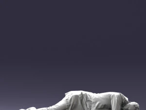 000461 Unconscious Man Lying on the Ground 3dp 3D Print Model