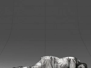 000461 Unconscious Man Lying on the Ground 3dp 3D Print Model