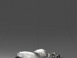 000461 Unconscious Man Lying on the Ground 3dp 3D Print Model