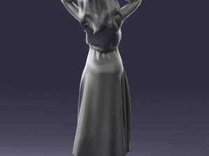 woman in dress 0143 3d print ready Modello di stampa 3D