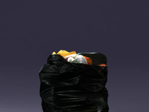 000481 Garbage Bag with Trash Realistic Plastic Waste Bag 3D Model