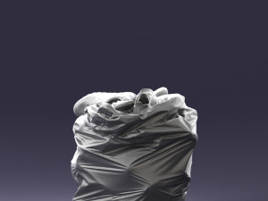 garbage bag 0147 Modelo 3D