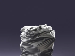 000481 Garbage Bag with Trash Realistic Plastic Waste Bag 3D Model