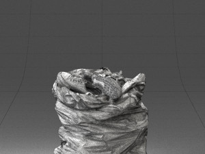 garbage bag 0147 Modelo 3D
