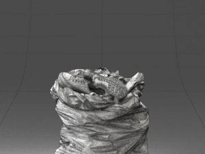 000481 Garbage Bag with Trash Realistic Plastic Waste Bag 3D Model