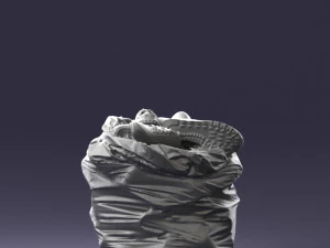 000481 Garbage Bag with Trash Realistic Plastic Waste Bag 3dp 3D Print Model