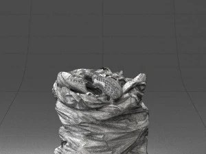 000481 Garbage Bag with Trash Realistic Plastic Waste Bag 3dp 3D Print Model