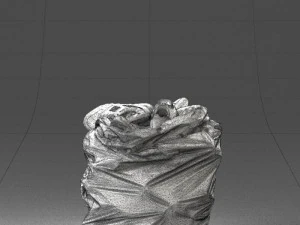 000481 Garbage Bag with Trash Realistic Plastic Waste Bag 3dp 3D Print Model
