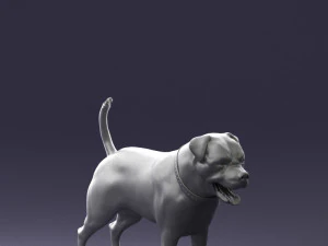 000496 Rottweiler Dog Standing Realistic Animal Character 3D Model