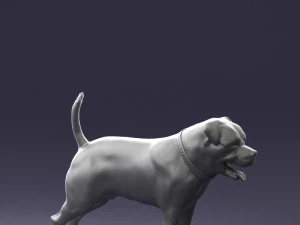 000496 Rottweiler Dog Standing Realistic Animal Character 3D Model