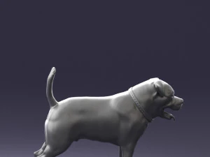 000496 Rottweiler Dog Standing Realistic Animal Character 3D Model