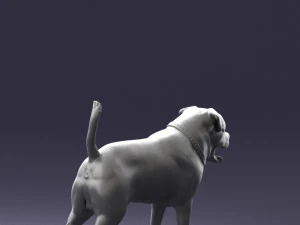 000496 Rottweiler Dog Standing Realistic Animal Character 3D Model