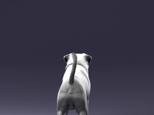 000496 Rottweiler Dog Standing Realistic Animal Character 3D Model
