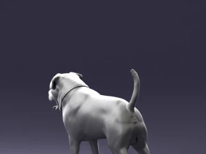 000496 Rottweiler Dog Standing Realistic Animal Character 3D Model