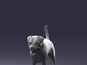000496 Rottweiler Dog Standing Realistic Animal Character 3D Model