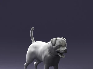 000496 Rottweiler Dog Standing Realistic Animal Character 3D Model