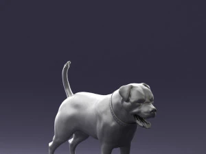 000496 Rottweiler Dog Standing Realistic Animal Character 3D Model