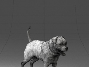 black dog 0160 3Dモデル