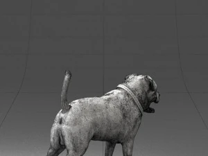 000496 Rottweiler Dog Standing Realistic Animal Character 3D Model
