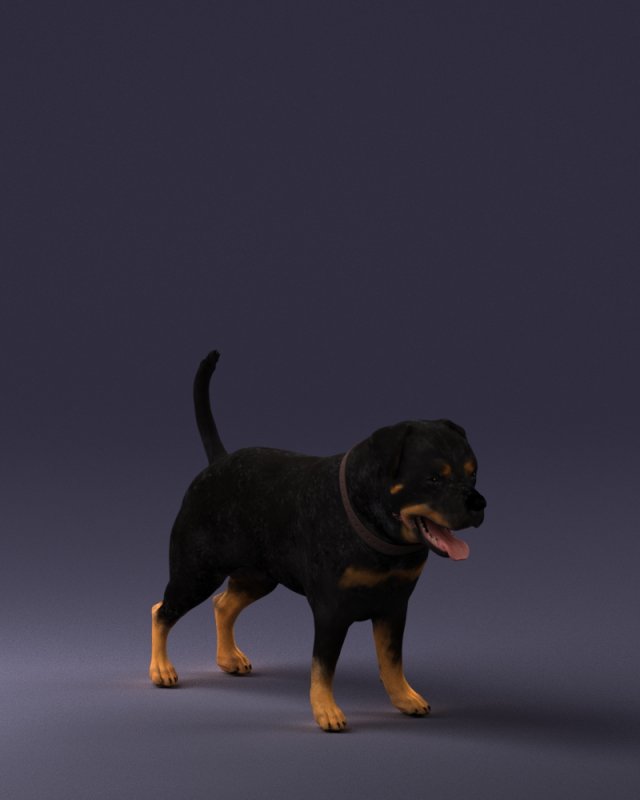 black dog 0160 3d print ready 3D 打印模型 .c4d .max .obj .3ds .fbx .stl .blend 