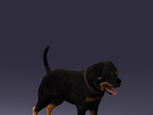 black dog 0160 3d print ready 3D 打印模型