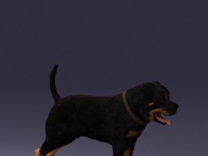 black dog 0160 3d print ready 3D 打印模型