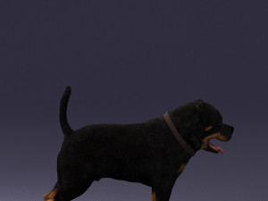 black dog 0160 3d print ready 3D 打印模型
