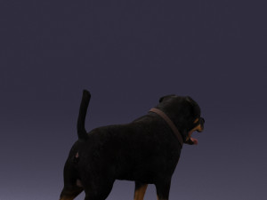 black dog 0160 3d print ready 3D 打印模型