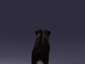 black dog 0160 3d print ready 3D 打印模型