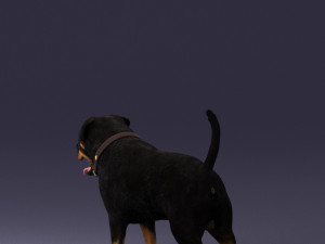 black dog 0160 3d print ready 3D 打印模型