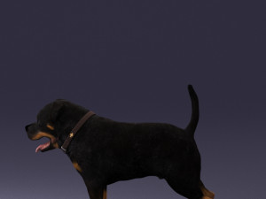black dog 0160 3d print ready 3D 打印模型
