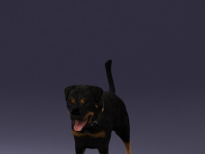black dog 0160 3d print ready 3D 打印模型