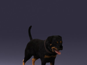 black dog 0160 3d print ready 3D 打印模型