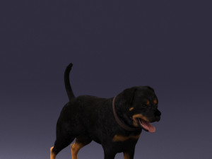 black dog 0160 3d print ready 3D 打印模型