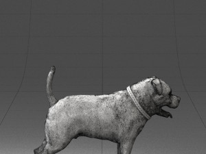 black dog 0160 3d print ready 3D 打印模型