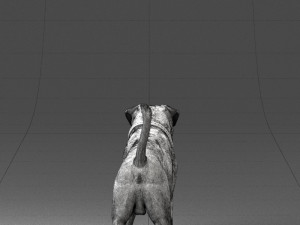 black dog 0160 3d print ready 3D 打印模型