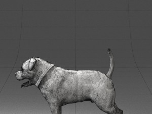 black dog 0160 3d print ready 3D 打印模型